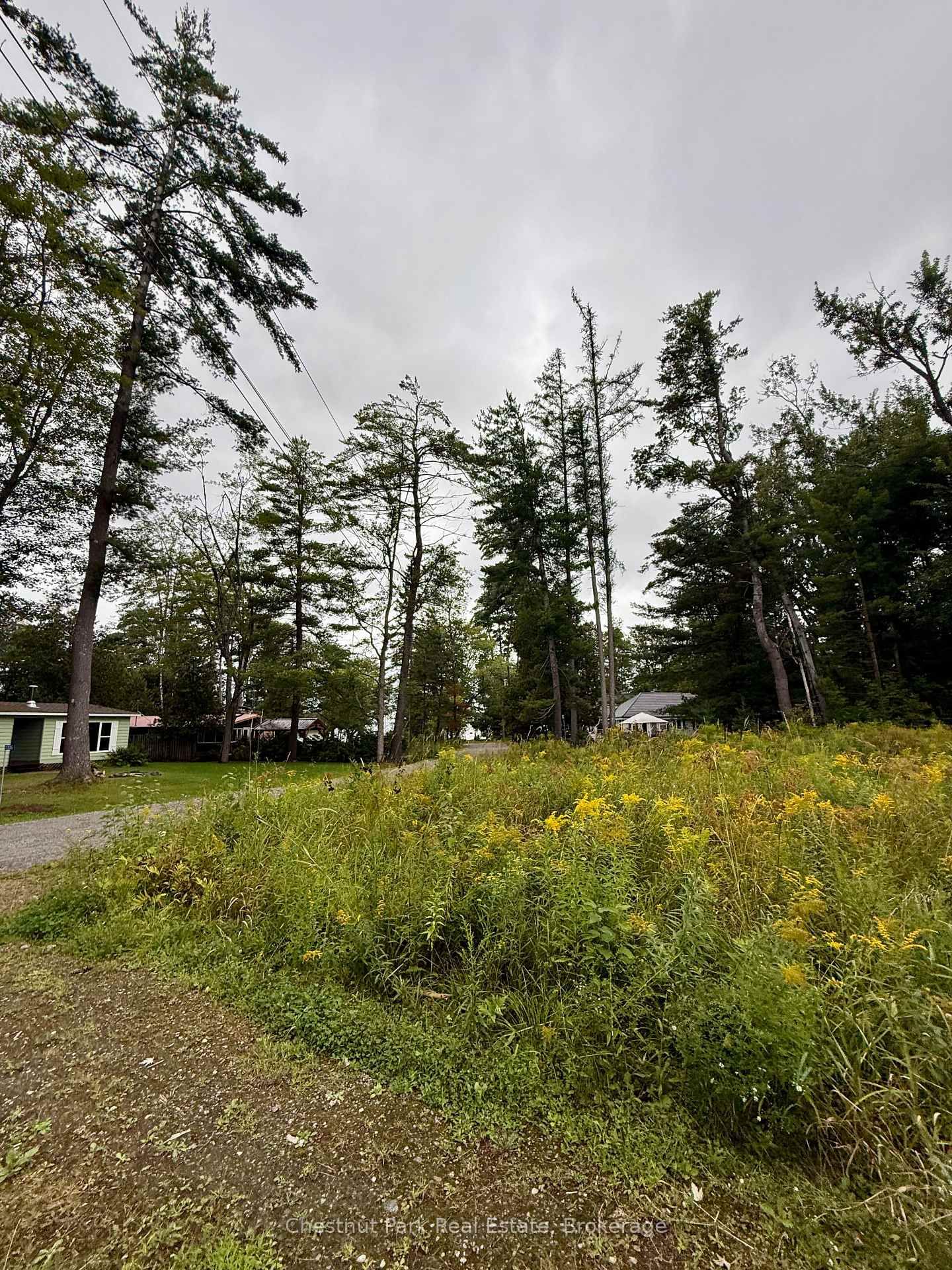 1004 Chippawa Avenue photo 6