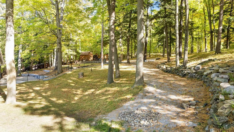 243 Colin Farmer Rd photo 4
