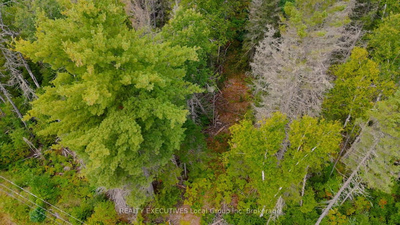 2275 WIDDIFIELD STATION Rd photo 4