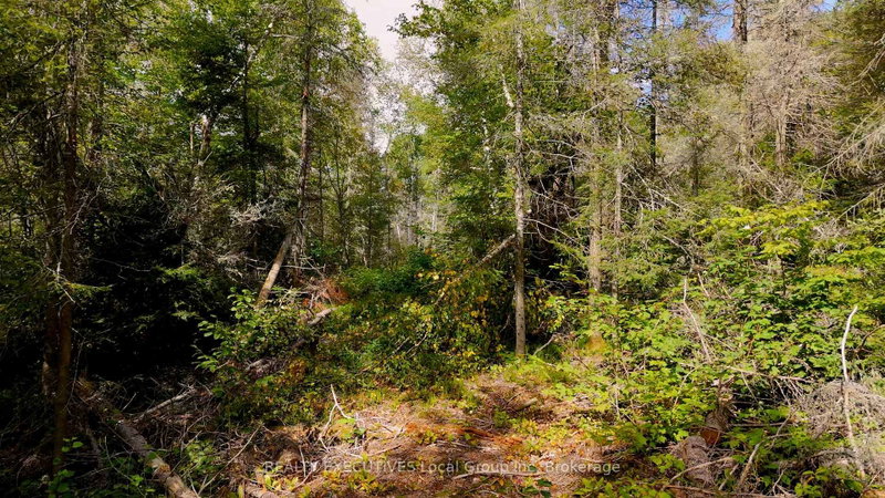 2275 WIDDIFIELD STATION Rd photo 5