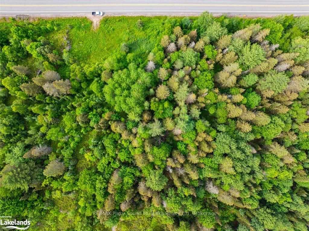 7281A HIGHWAY 124 • Magnetawan, ON photo 13