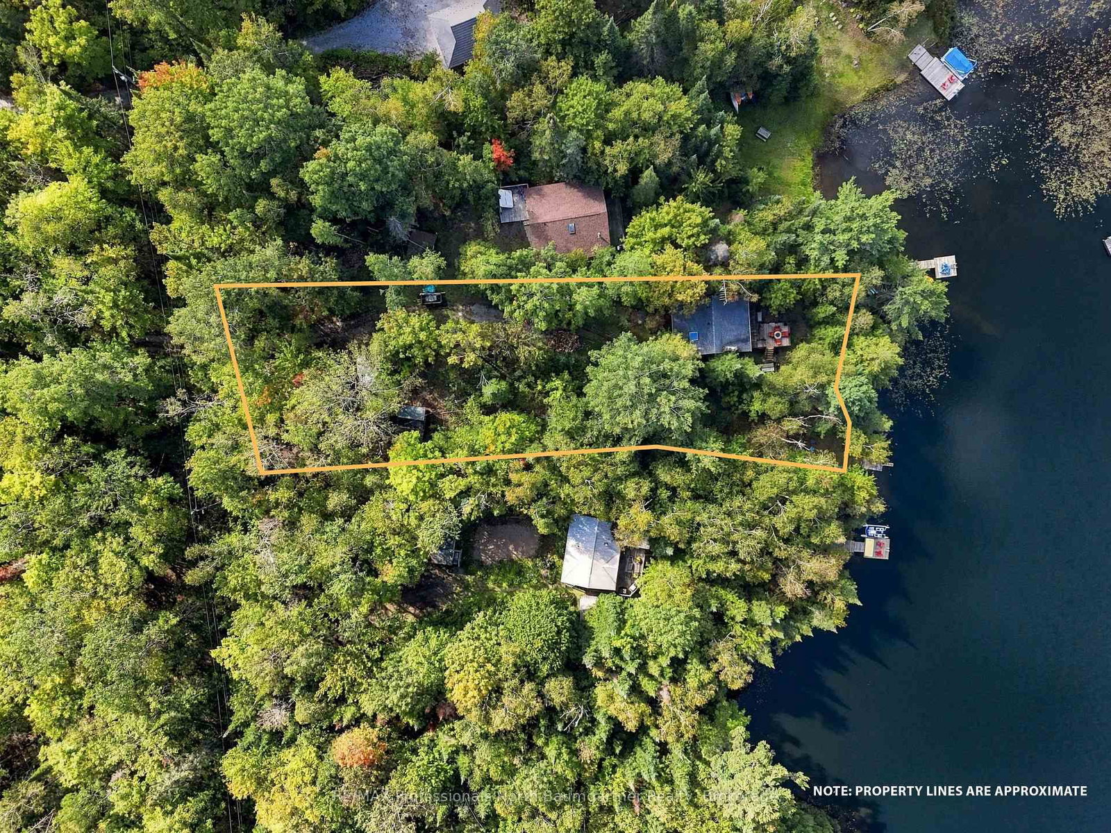 1247 English Circle • Highlands East, ON photo 37
