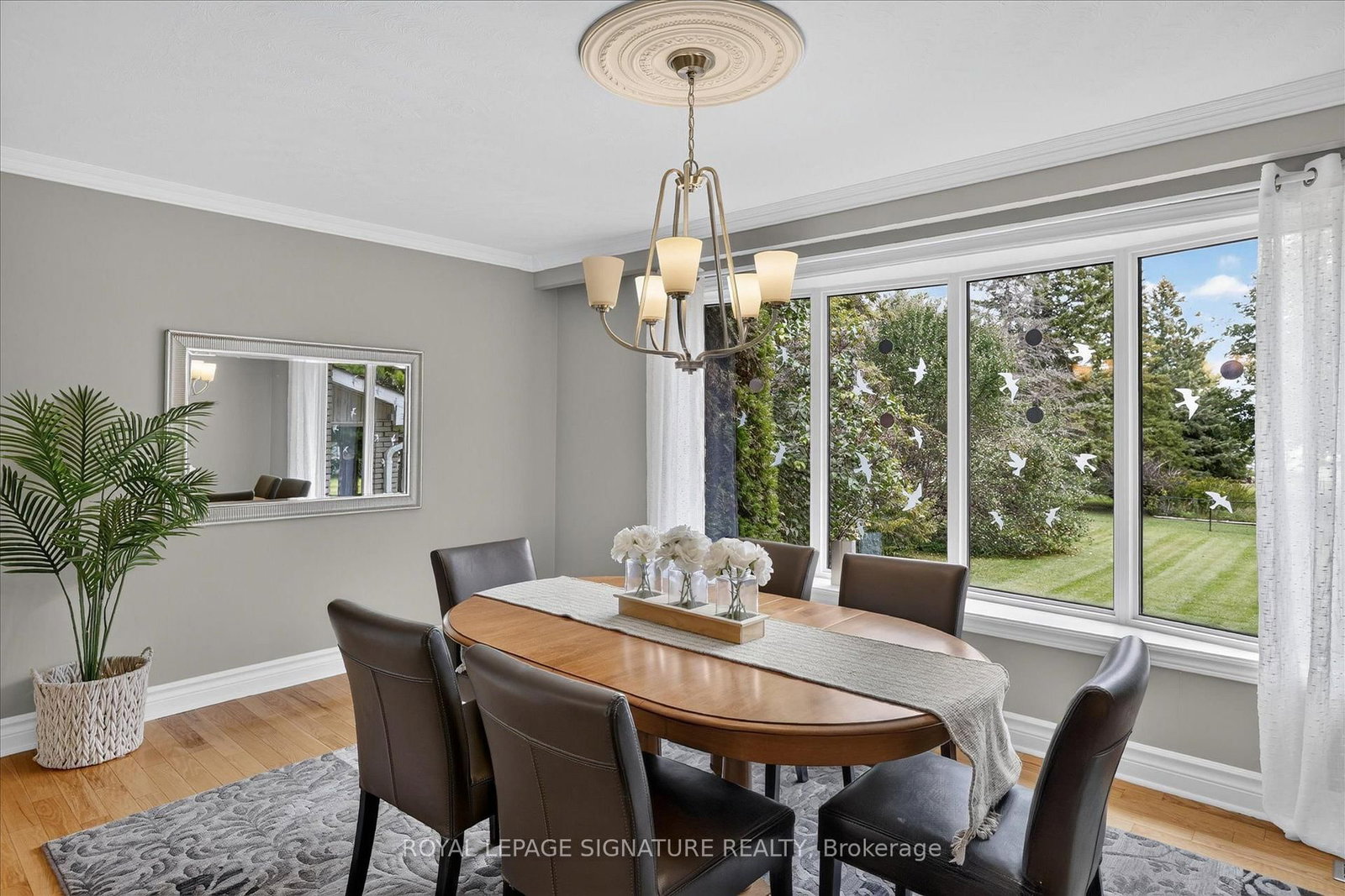 16 Lawrence Street S • Kawartha Lakes, ON photo 19