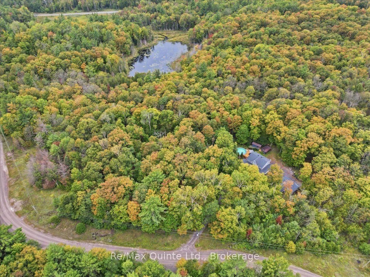 578 Old Apsley Road • North Kawartha, ON photo 46