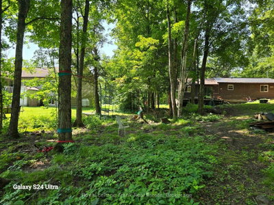 179 Northern Avenue • Trent Lakes, ON photo 5