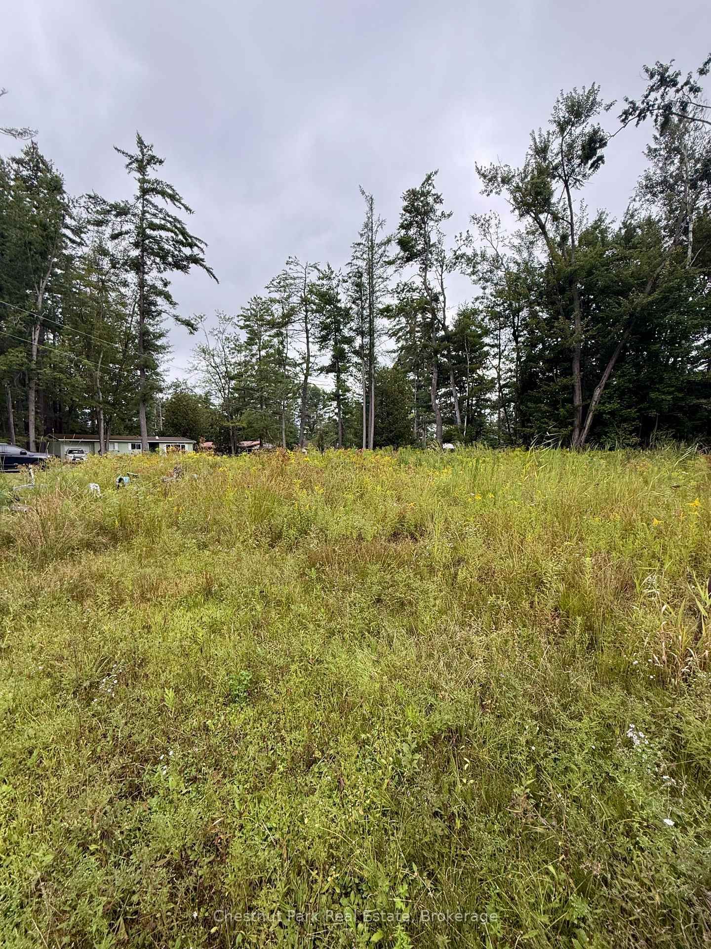 1006 Chippawa Avenue photo 4