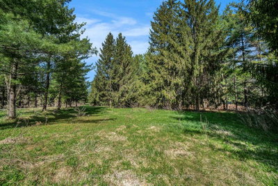 942 Cameron Street • Ottawa, ON photo 4