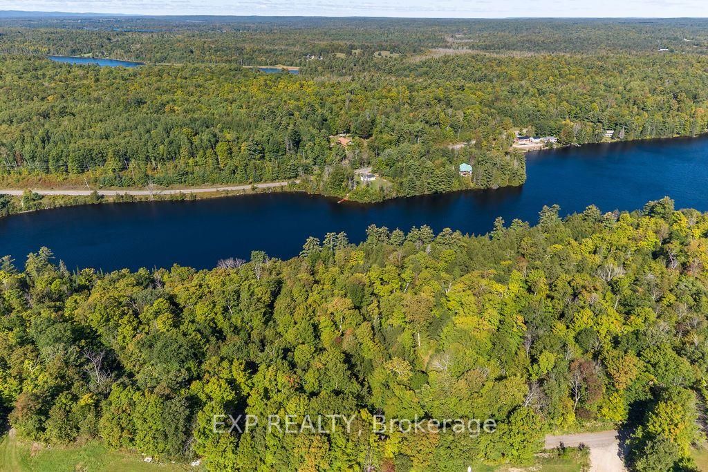 00 Upper Spruce Hedge Road N • Burnstown, ON photo 6