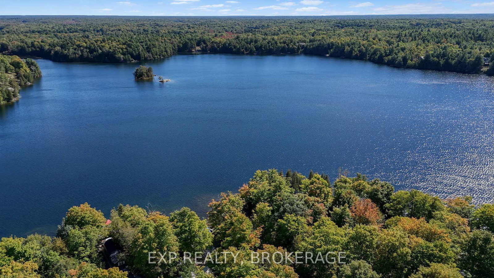 1091 O'REILLY LAKE Lane • #Site OR336 • Mountain Grove, ON photo 47