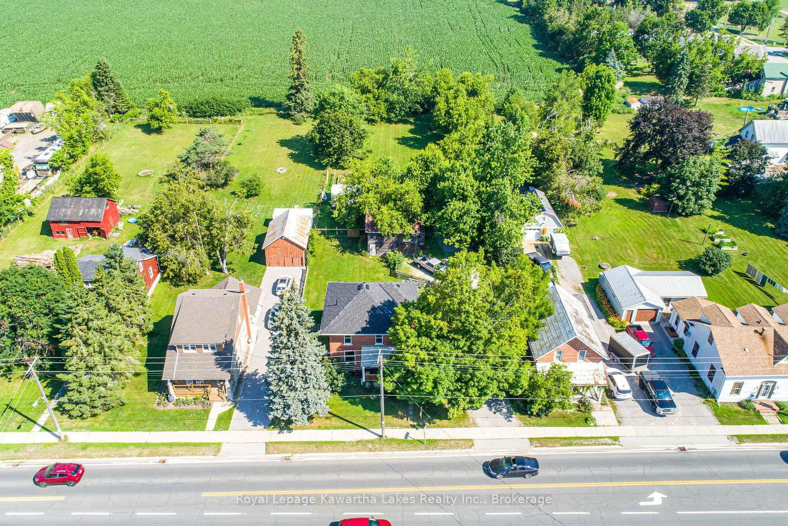 907 Highway 7 • Kawartha Lakes, ON photo 9