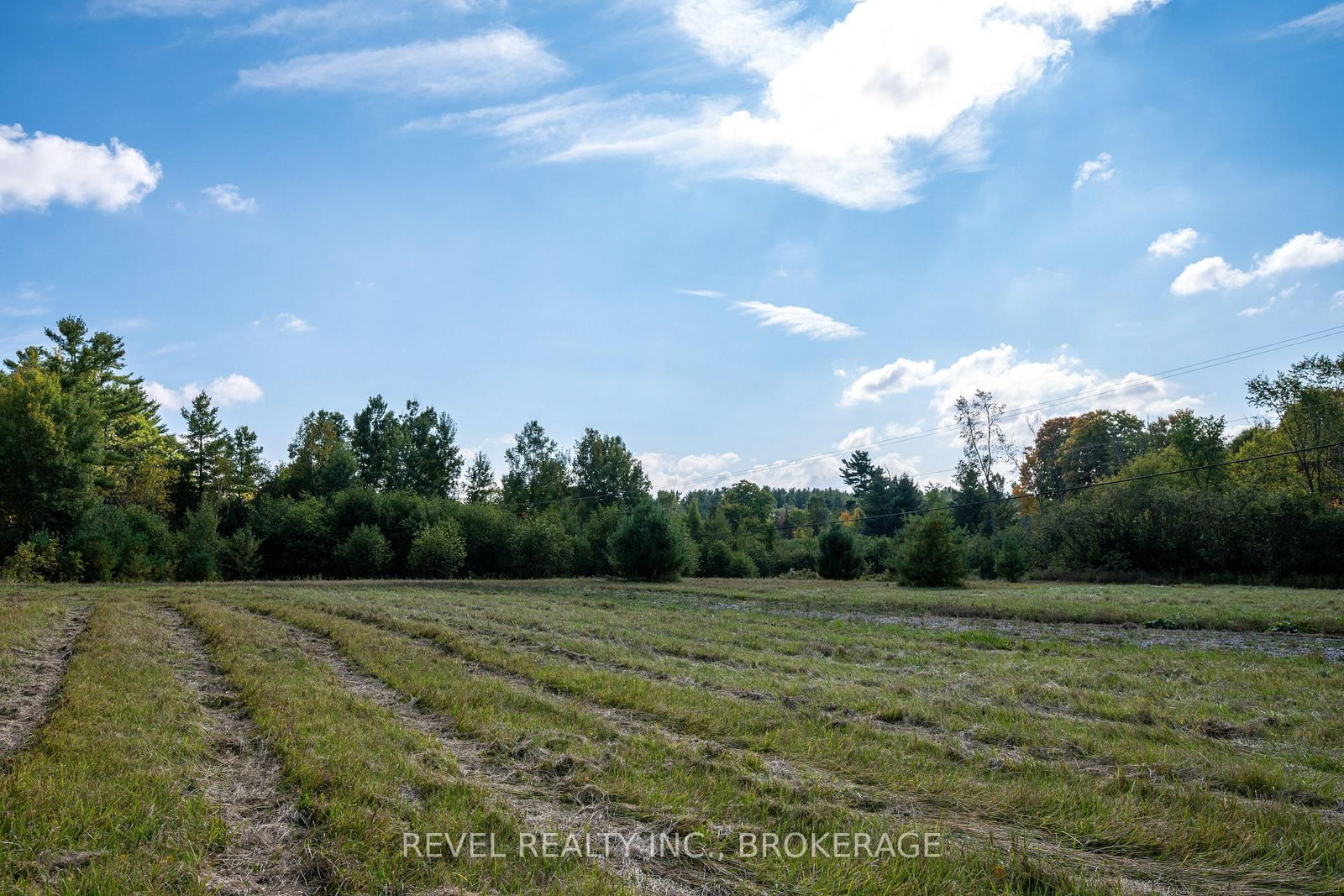 111 Buck Bay Road • Godfrey, ON photo 4