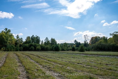 111 Buck Bay Road • Godfrey, ON photo 4