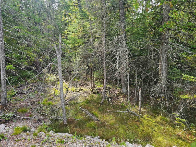 LT 132 PL 571 Dorcas Bay Road