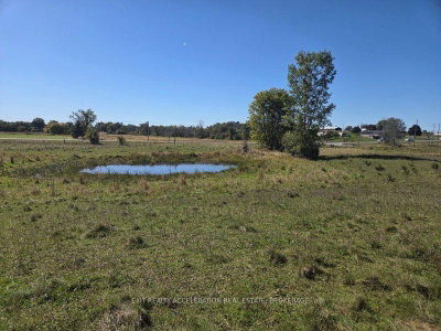 PT LT 19 CON 4 County Rd 8 • Napanee, ON photo 9