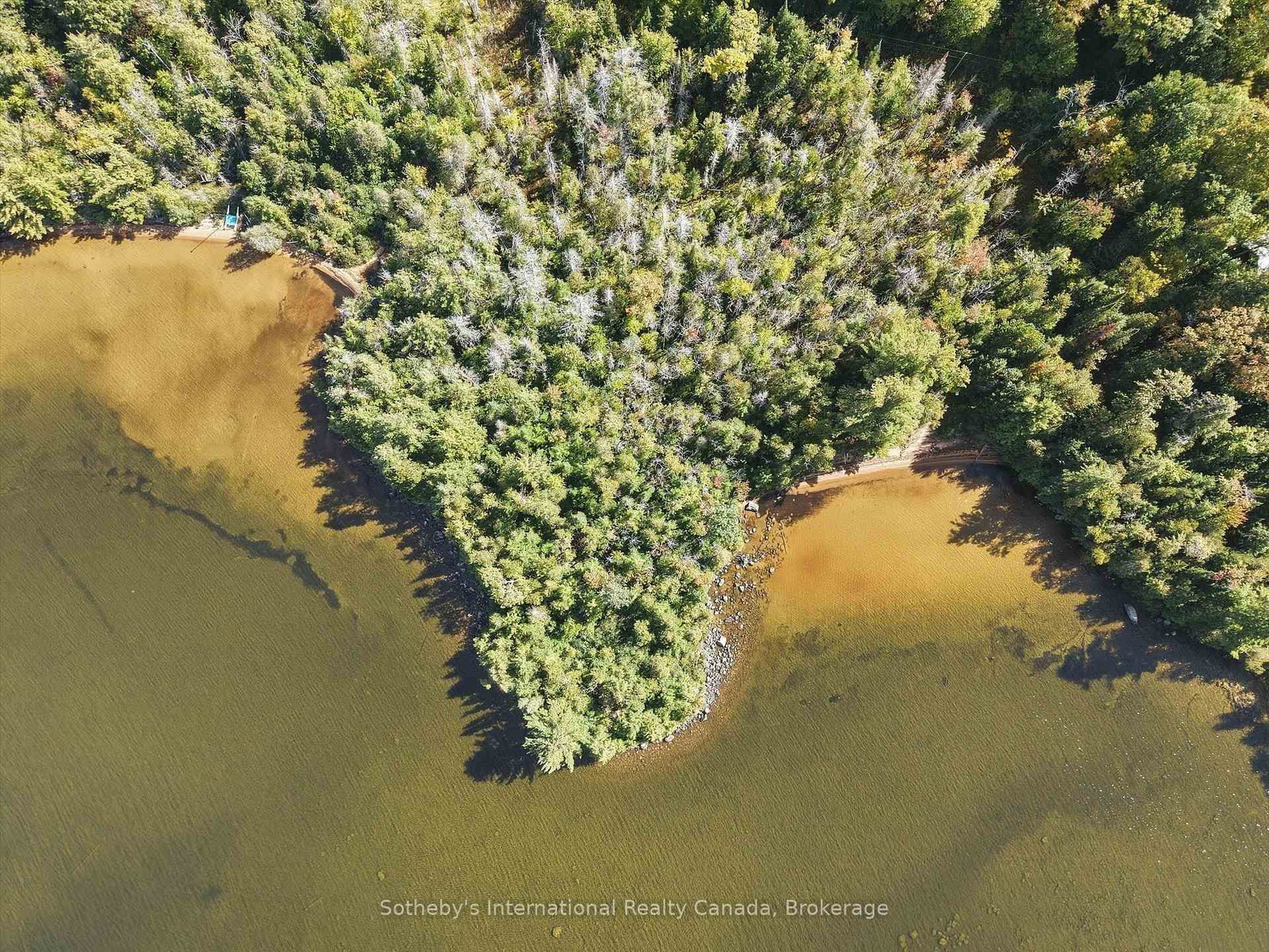 0 Bayview Acres • Lake of Bays, ON photo 4