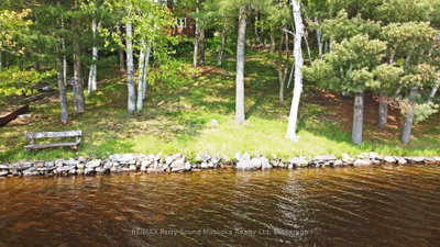 38 Shebeshekong Estates Road S • Carling, ON photo 9