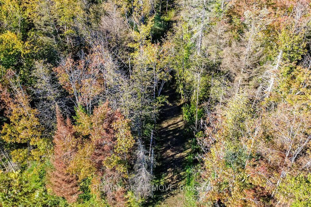 1223 Southwood Road photo 6