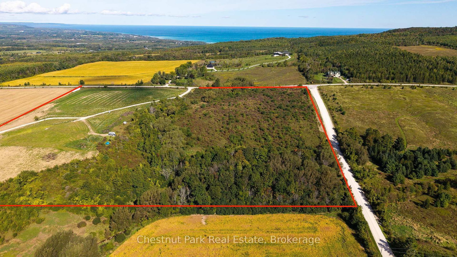 728534 21st Side Road • Blue Mountains, ON photo 7