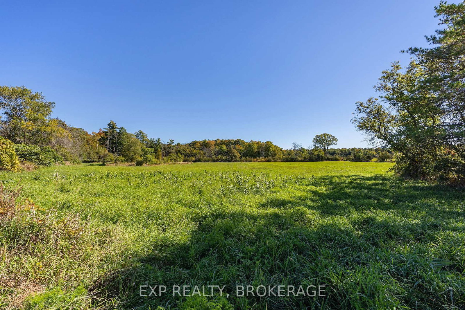 3542 Stagecoach Road • Harrowsmith, ON photo 39