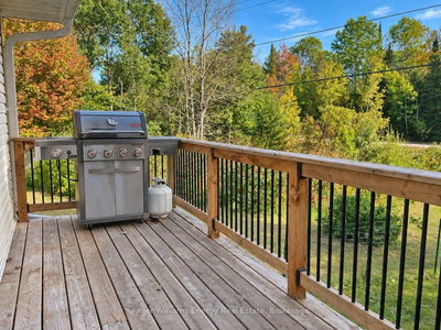 1250 Donroy Road • Highlands East, ON photo 6