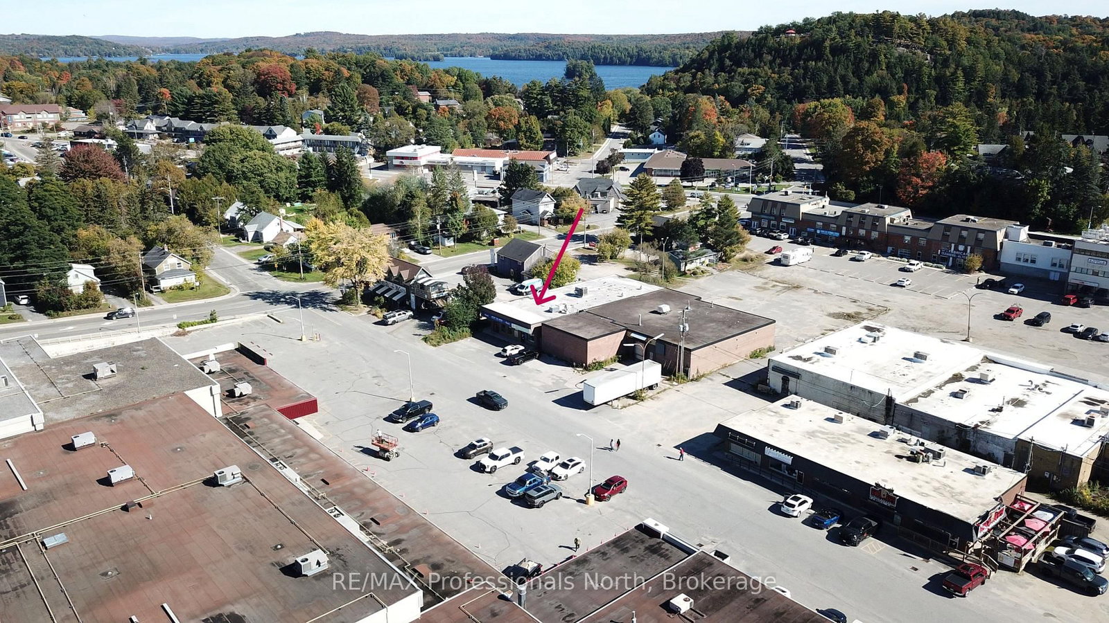 15 CANN Street photo 6