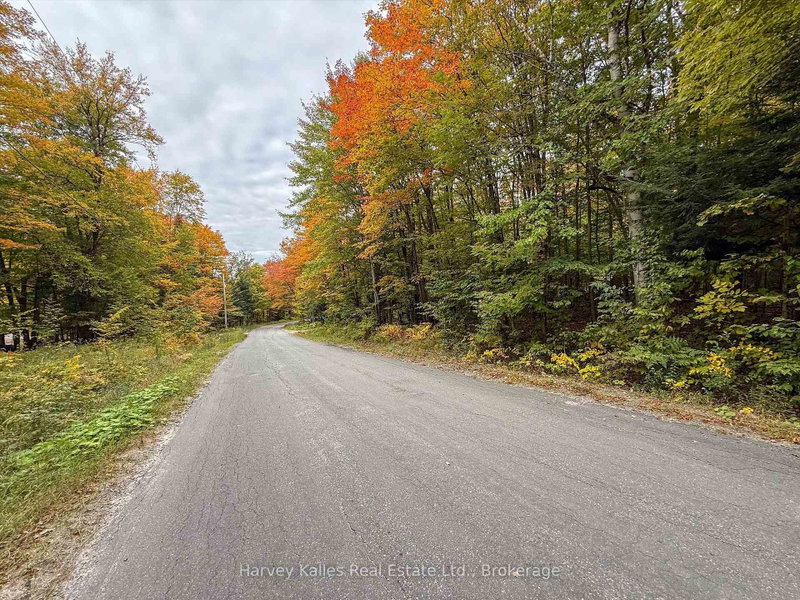 481 Gryffin Lodge Road