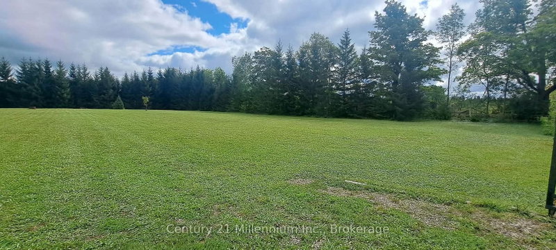 194247 Grey Road 13 photo 4