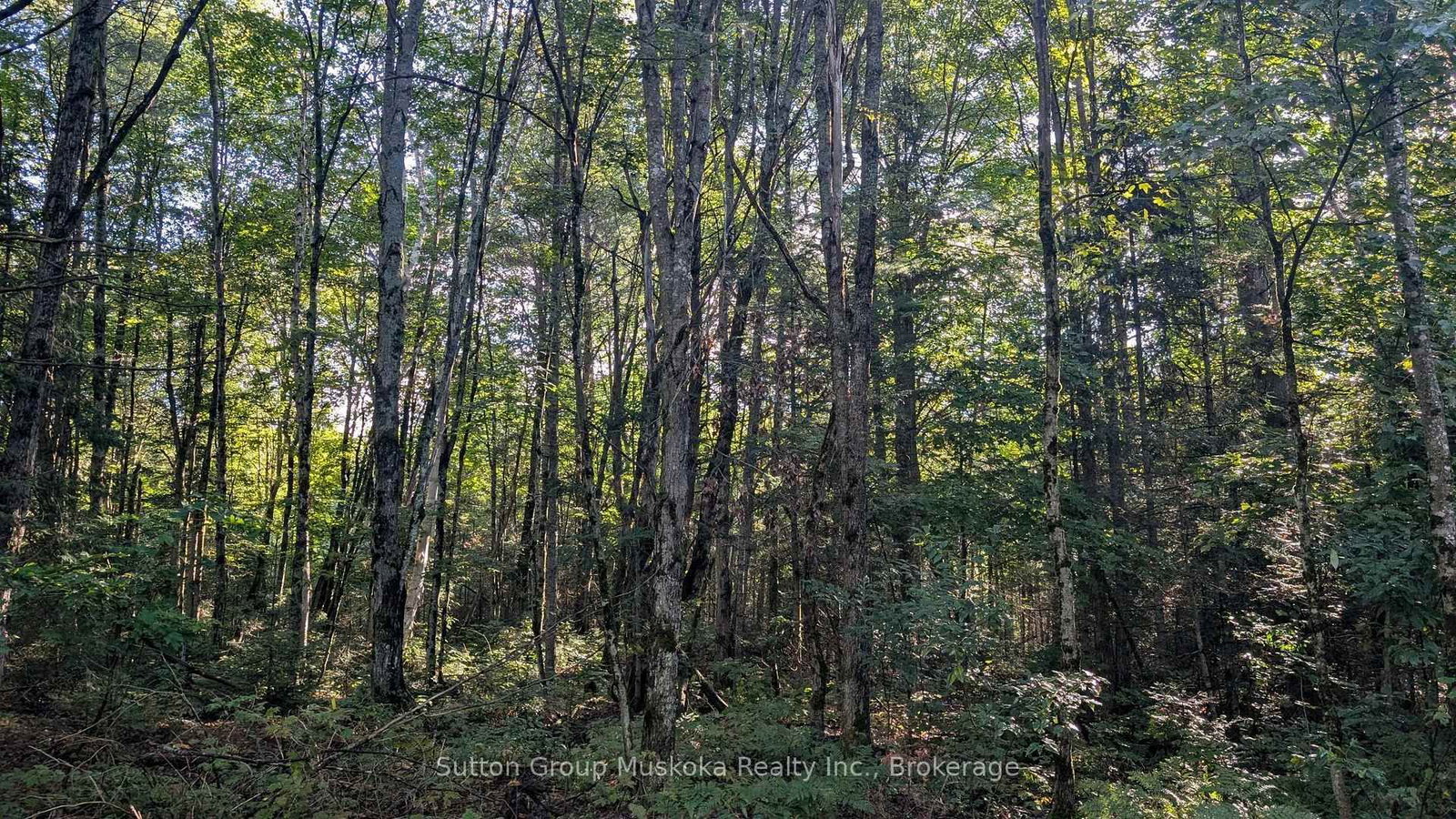 194 Clarkes Lane photo 3