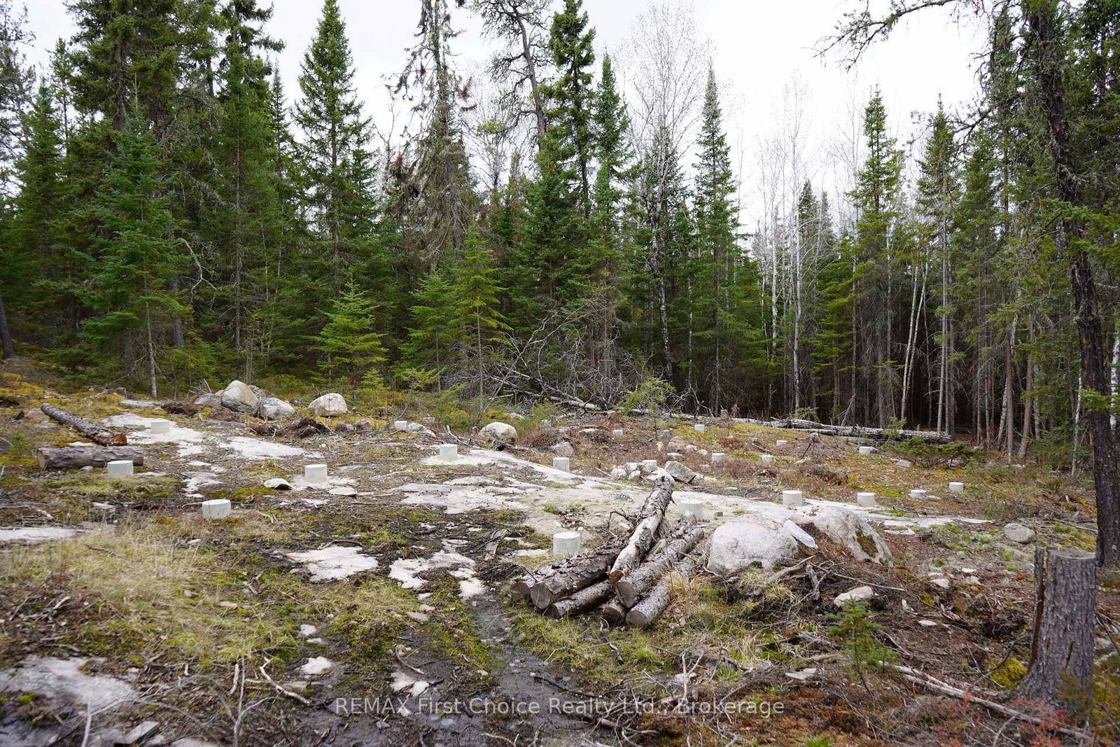 Lot 3 Gunn Lake Road • Kenora Remote Area, ON photo 26