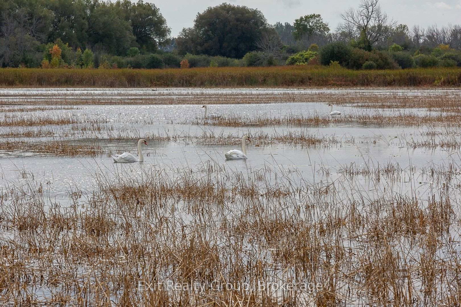 153 County Road 27 • #D7 • Prince Edward County, ON photo 34