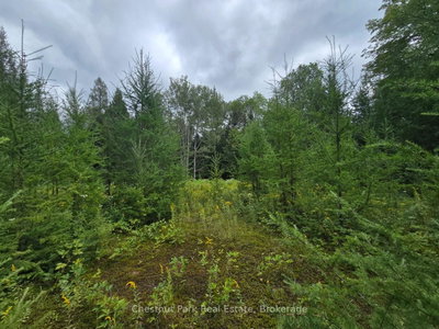 00 Old Track Road • Perry, ON photo 6