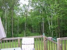 4 Pinewood Blvd, Kawartha Lakes, K0M1B0 | Image 3