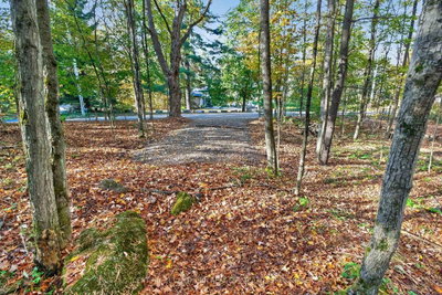0 Sherwood Springs Road • Front of Yonge, ON photo 4