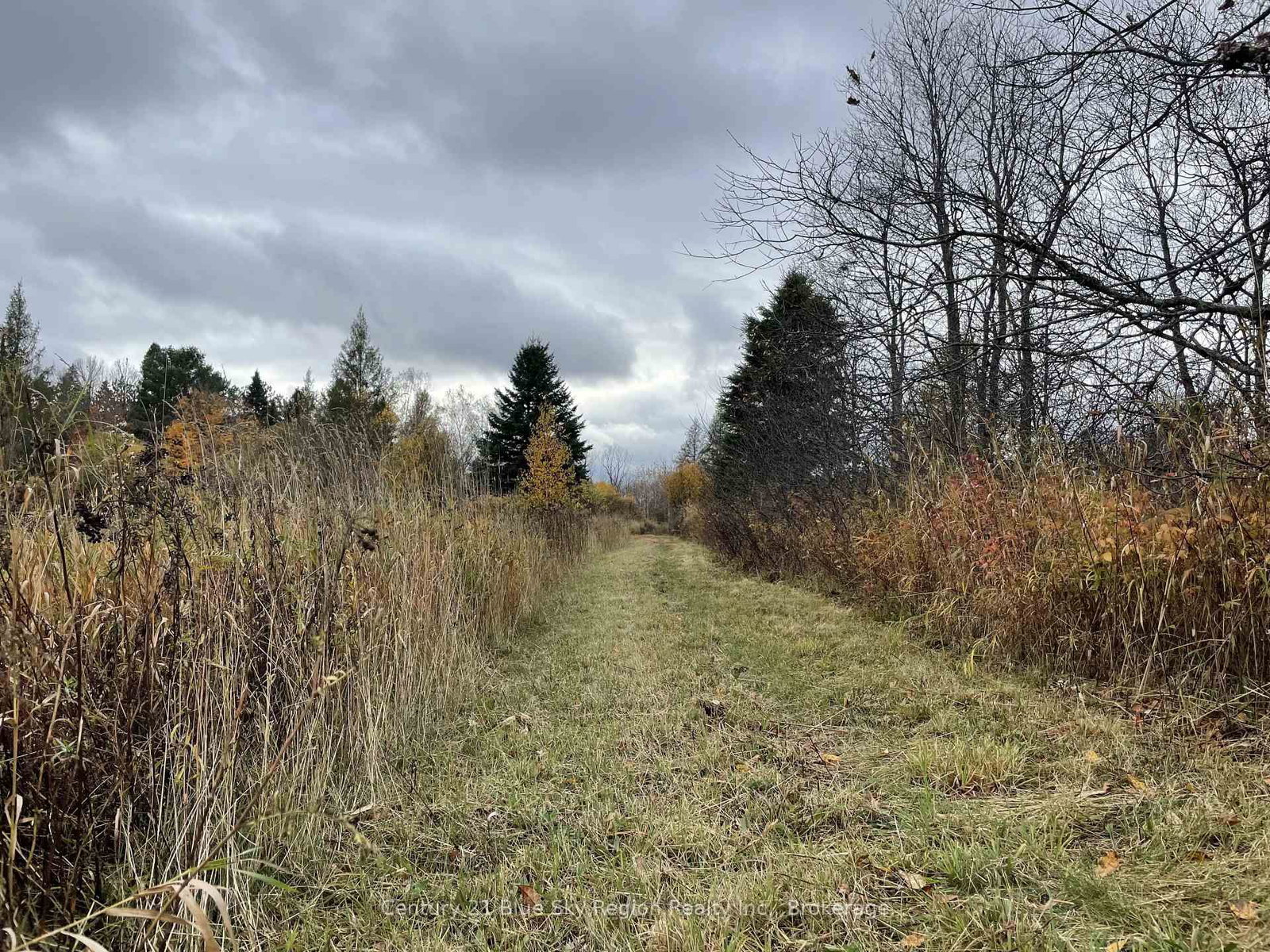 145 North Road • Parry Sound Remote Area, ON photo 26
