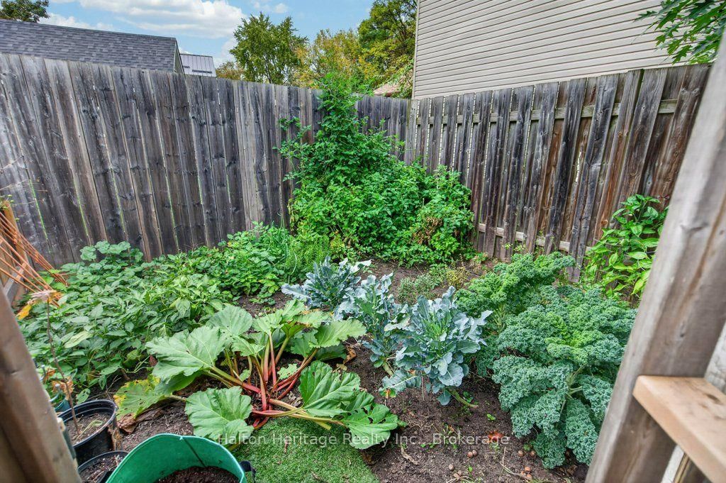 147 Pearl Street • Brantford, ON photo 32