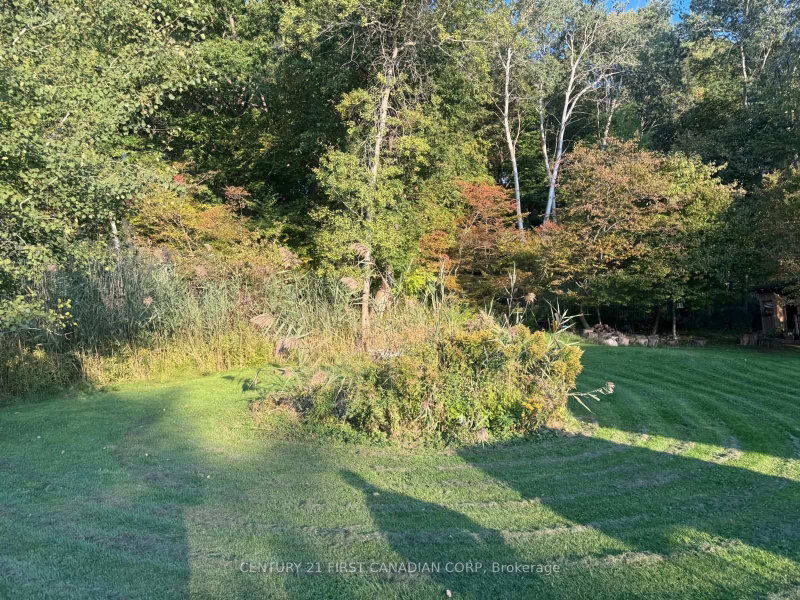 307 SELBOURNE Dr photo 3