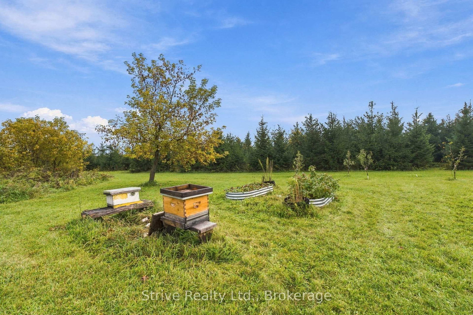 239 Fallis Line • Cavan Monaghan, ON photo 46