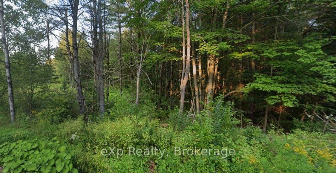 1003 Silver Lake Road photo 8