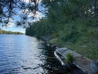 1141 Turtle Lake Road • Gravenhurst, ON photo 19