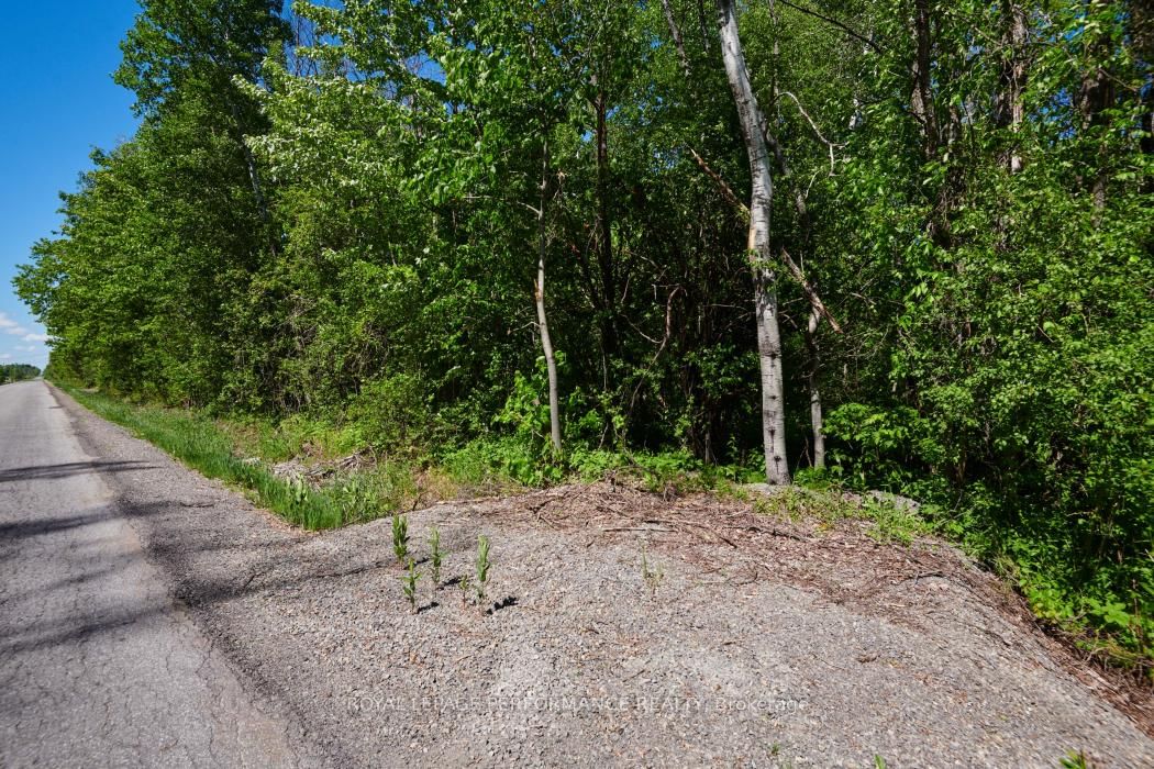 3251 Paden Road • North Gower, ON photo 1