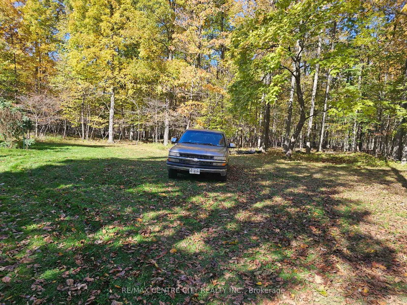 39306 Bush Line photo 4