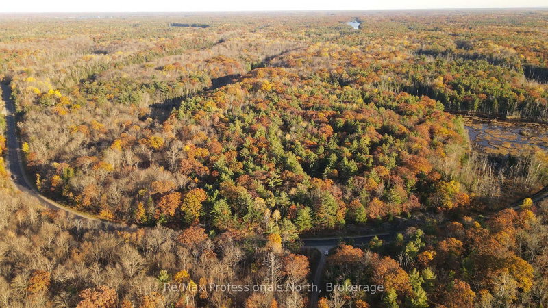 00 Muskoka Rd 38 Road