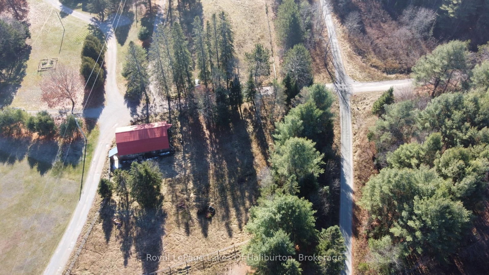1036 PRIVET Drive • Minden Hills, ON photo 19