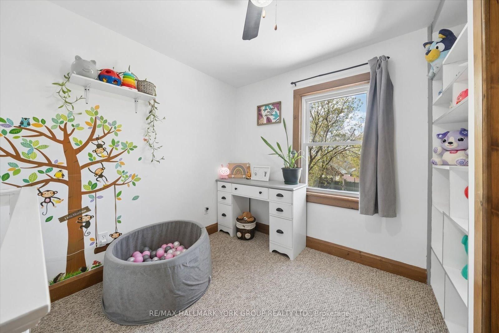 27 St Paul Street • Kawartha Lakes, ON photo 20