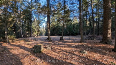 1448 Limberlost Road • Lake of Bays, ON photo 7