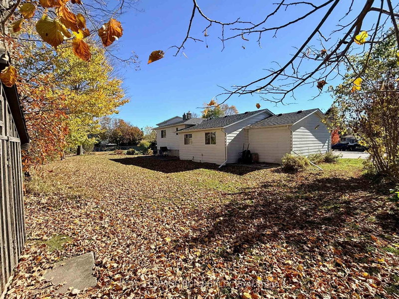 466 Sandhill Crt photo 3