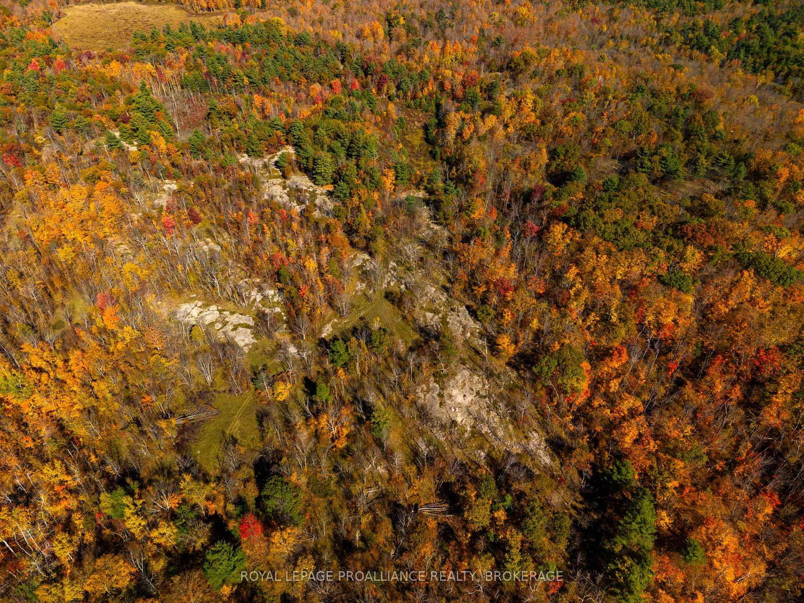 Lot 6 California Road • Kaladar, ON photo 7