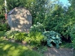 Photo 38