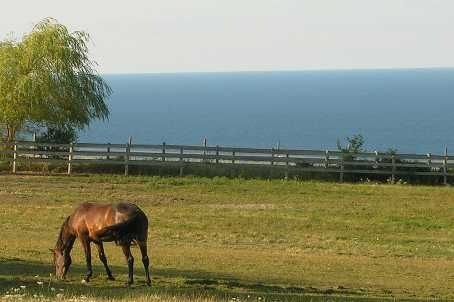 125 Mountain Rd, Meaford, Jk09Bd | Image 3