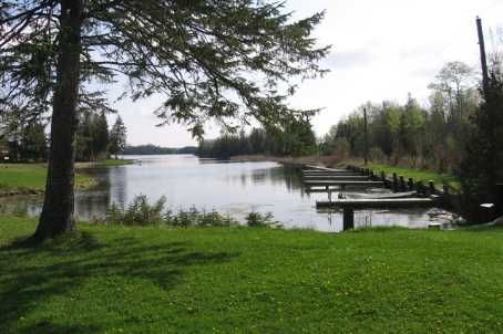 42 Cedar Bay Rd, Kawartha Lakes, L0K1B0 | Image 3